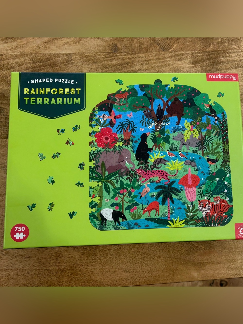 Rainforest Terrarium Shaped Puzzle - Mudpuppy 750 Pieces